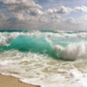 Meet your Posher, Leonor